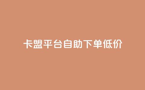 卡盟平台自助下单低价 - 自助下单低价卡盟平台助你轻松购卡! 第1张 卡盟平台自助下单低价 - 自助下单低价卡盟平台助你轻松购卡! 第1张