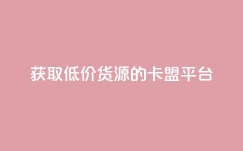 获取低价货源的卡盟平台 第1张 获取低价货源的卡盟平台 第1张