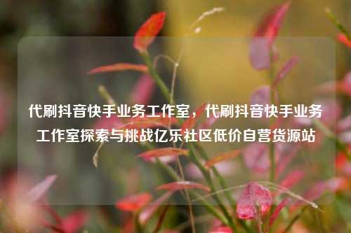 代刷抖音快手业务工作室，代刷抖音快手业务工作室探索与挑战亿乐社区低价自营货源站  第1张