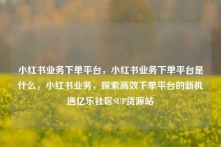 小红书业务下单平台，小红书业务下单平台是什么，小红书业务，探索高效下单平台的新机遇亿乐社区SUP货源站