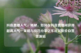 抖音直播人气，揭秘，如何在抖音直播间获得超高人气—策略与技巧分享亿乐社区低价自营货源站