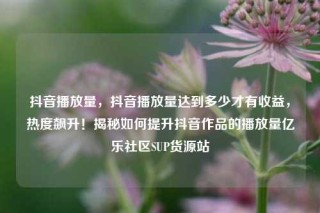 抖音播放量，抖音播放量达到多少才有收益，热度飙升！揭秘如何提升抖音作品的播放量亿乐社区SUP货源站