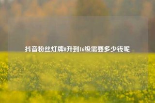 抖音粉丝灯牌0升到16级需要多少钱呢