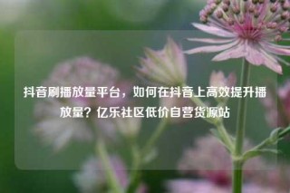 抖音刷播放量平台，如何在抖音上高效提升播放量？亿乐社区低价自营货源站