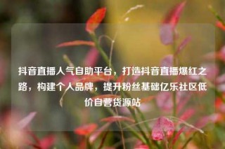抖音直播人气自助平台，打造抖音直播爆红之路，构建个人品牌，提升粉丝基础亿乐社区低价自营货源站