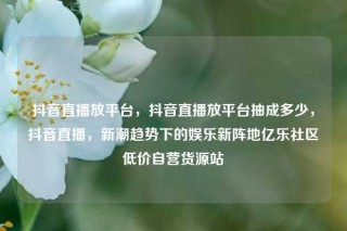 抖音直播放平台，抖音直播放平台抽成多少，抖音直播，新潮趋势下的娱乐新阵地亿乐社区低价自营货源站