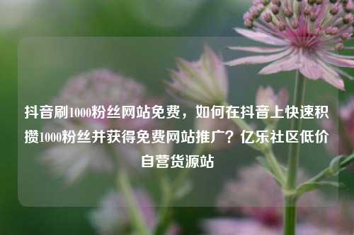抖音刷1000粉丝网站免费，如何在抖音上快速积攒1000粉丝并获得免费网站推广？亿乐社区低价自营货源站  第1张